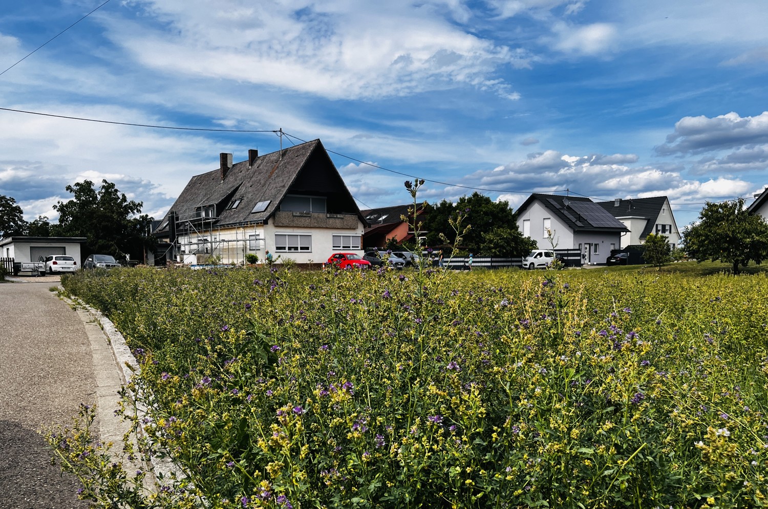 Ca. 350 m²