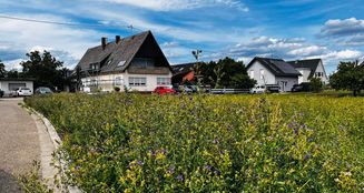 von_poll_real_estate_property_25429070_image_1