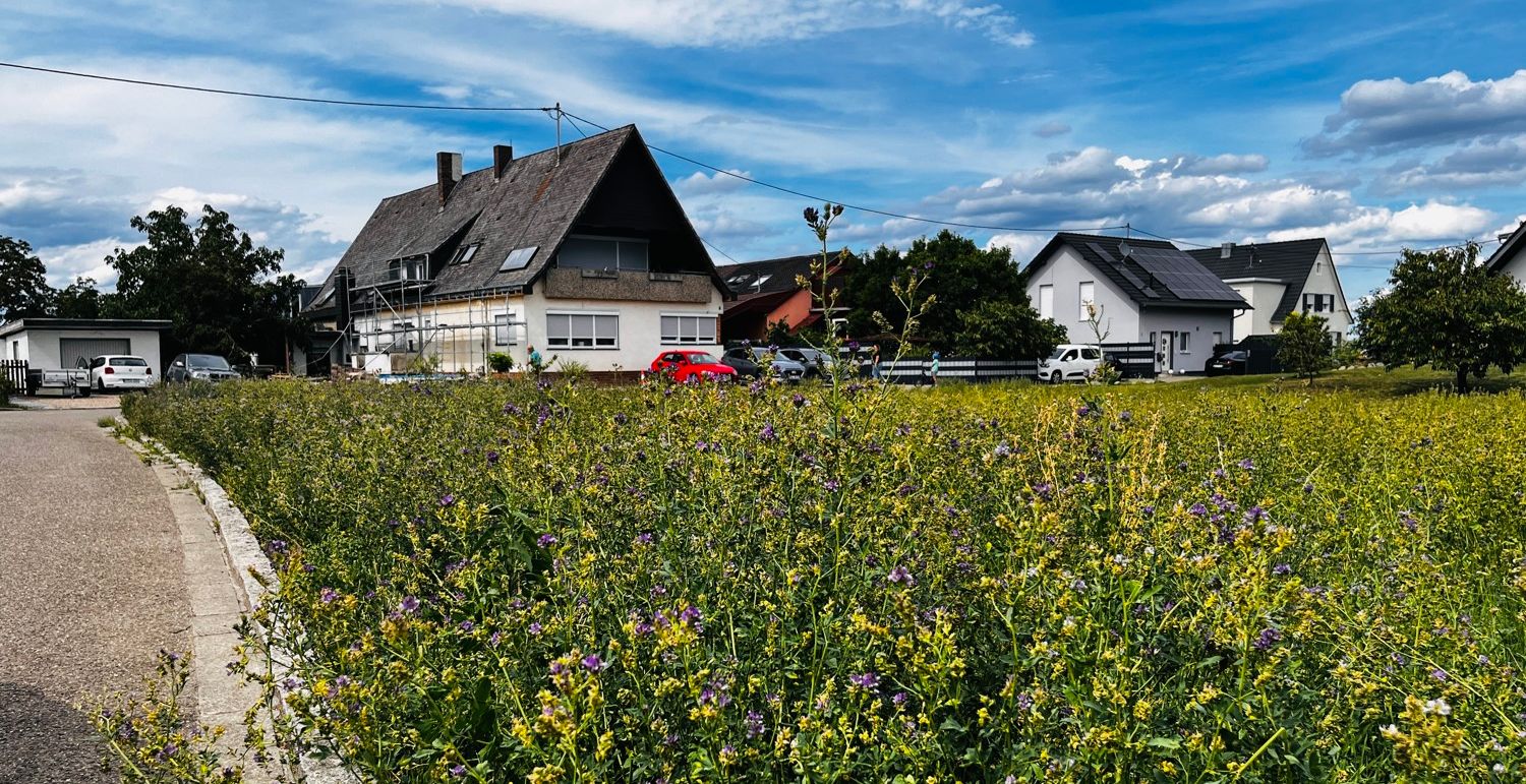 Ca. 350 m²