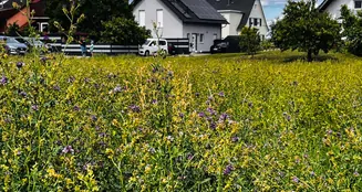 von_poll_real_estate_property_25429070_image_0