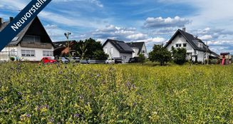 von_poll_real_estate_property_25429070_image_0