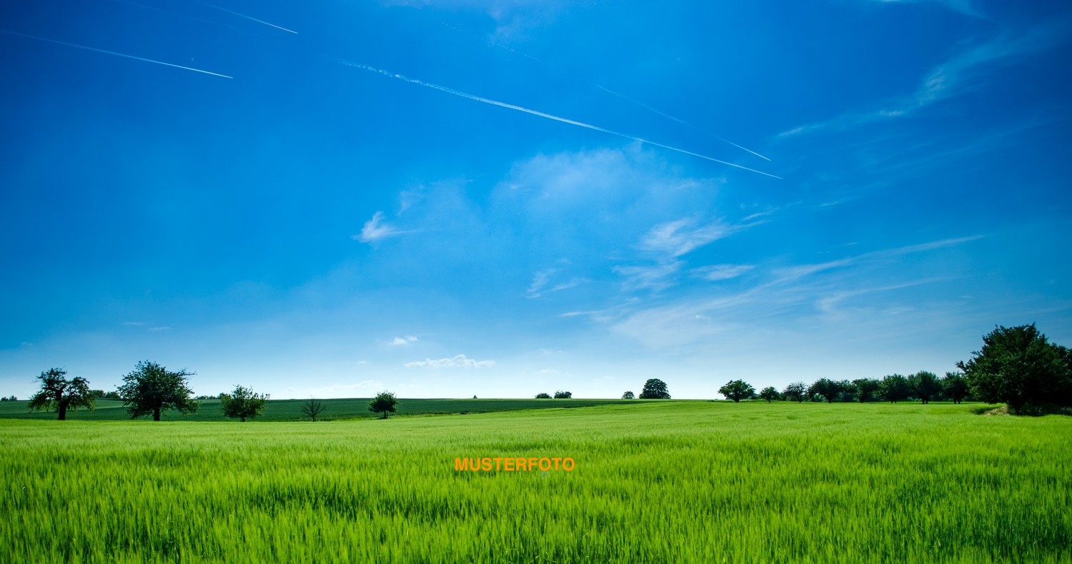 GRUNDSTÜCK MUSTERFOTO