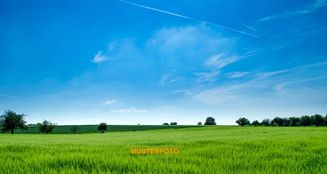 von_poll_real_estate_property_25429070_image_0