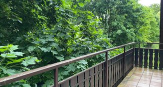 von_poll_real_estate_property_25429140_image_5