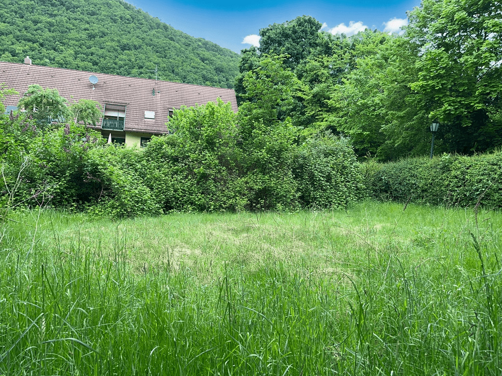 Eigener Gartenbereich mit ca. 200 Quadratmetern