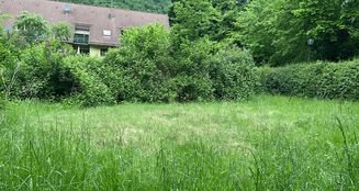 von_poll_real_estate_property_25429140_image_10