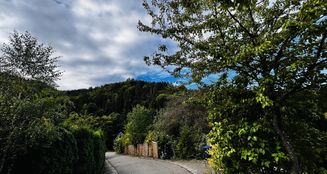 von_poll_real_estate_property_25429130_image_3