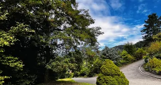 von_poll_real_estate_property_25429131_image_1