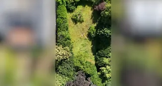 von_poll_real_estate_property_25001102_image_5