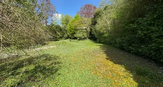 von_poll_real_estate_property_25001102_image_4