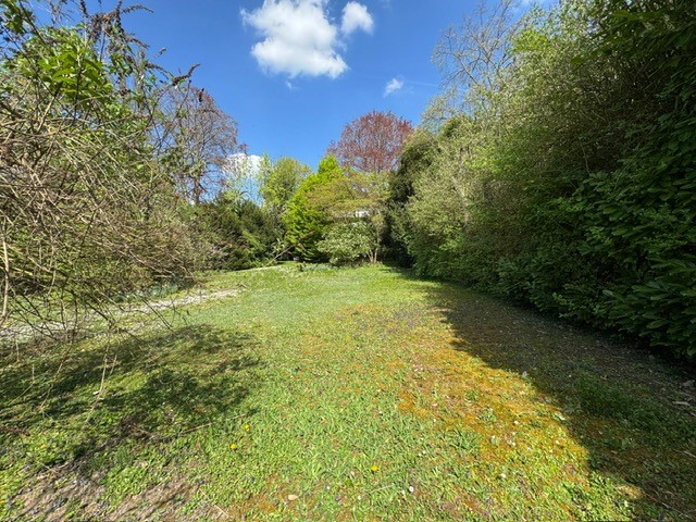 Garten Ansicht IV