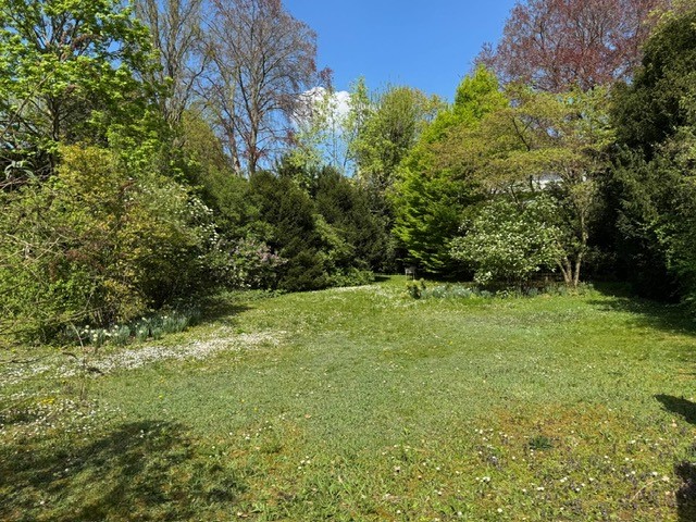 Garten Ansicht I
