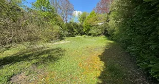 von_poll_real_estate_property_25001102_image_2