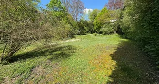 von_poll_real_estate_property_25001102_image_3