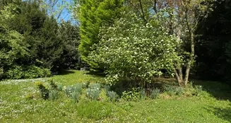 von_poll_real_estate_property_25001102_image_0