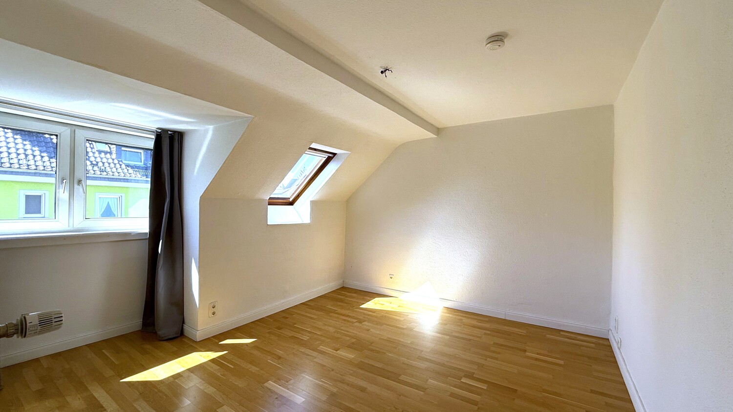 Zimmer II DG