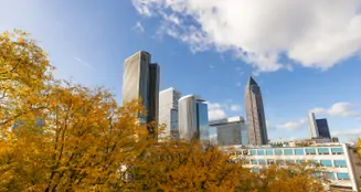 von_poll_real_estate_property_25001273_image_9