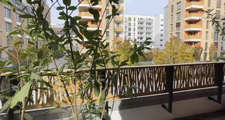 von_poll_real_estate_property_25001288_image_6