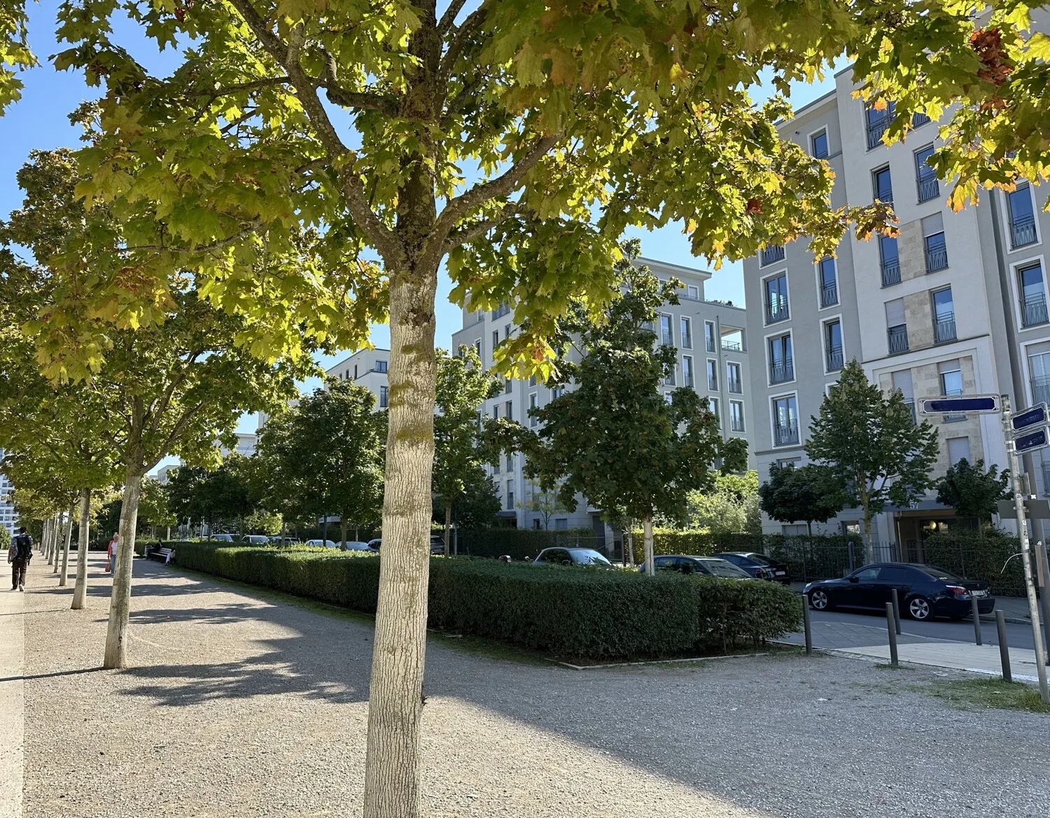 Parkblick