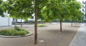 von_poll_real_estate_property_25001112_image_8