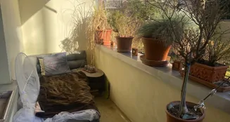 von_poll_real_estate_property_25001053_image_4