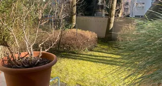 von_poll_real_estate_property_25001053_image_6