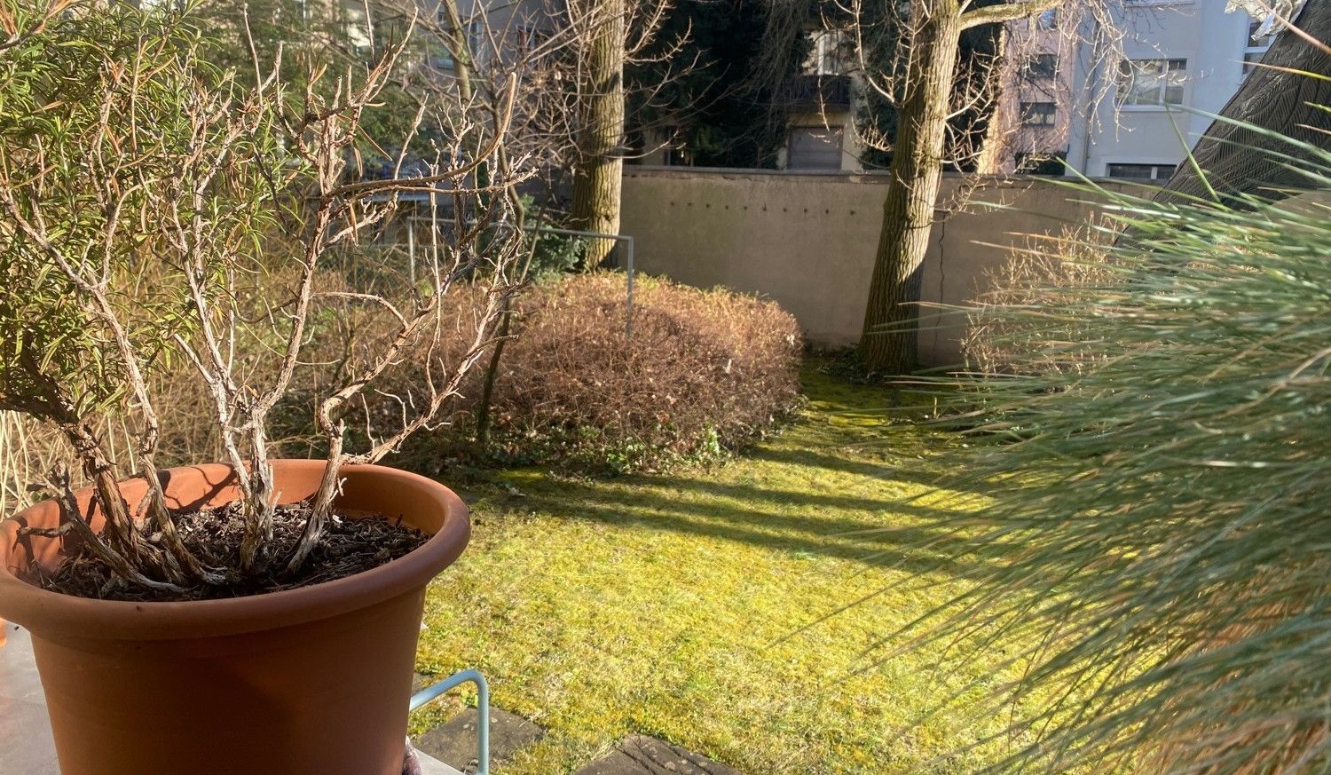 Garten Ansicht II