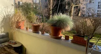 von_poll_real_estate_property_25001053_image_3