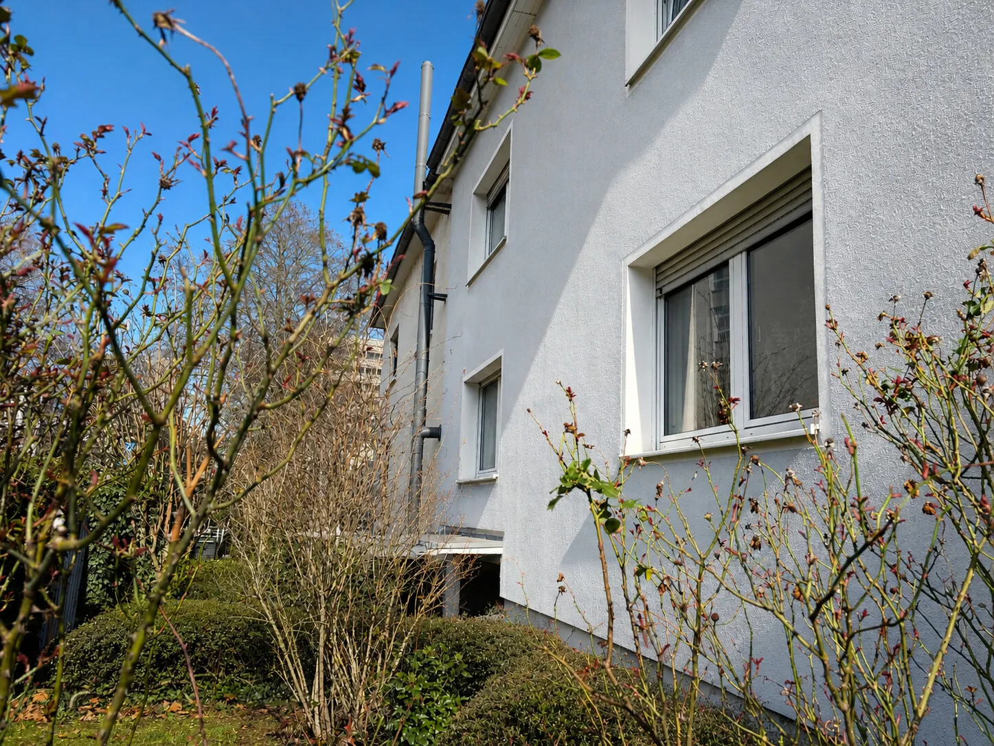Außenansicht II