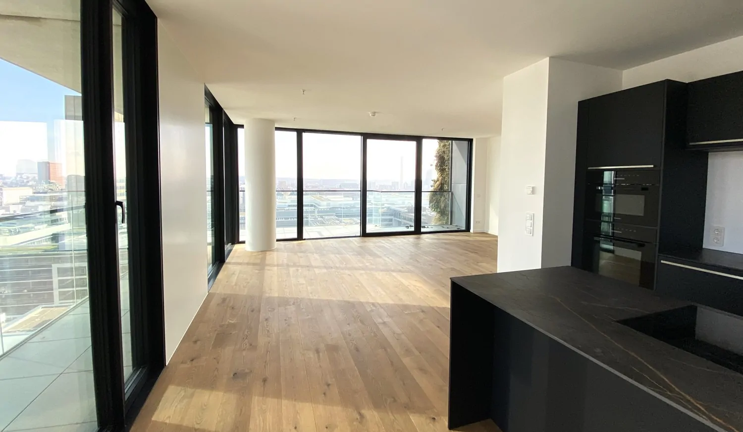 Wohn-/Ess-/Kochbereich