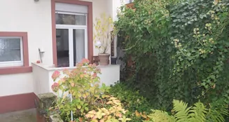 von_poll_real_estate_property_25001292_image_4