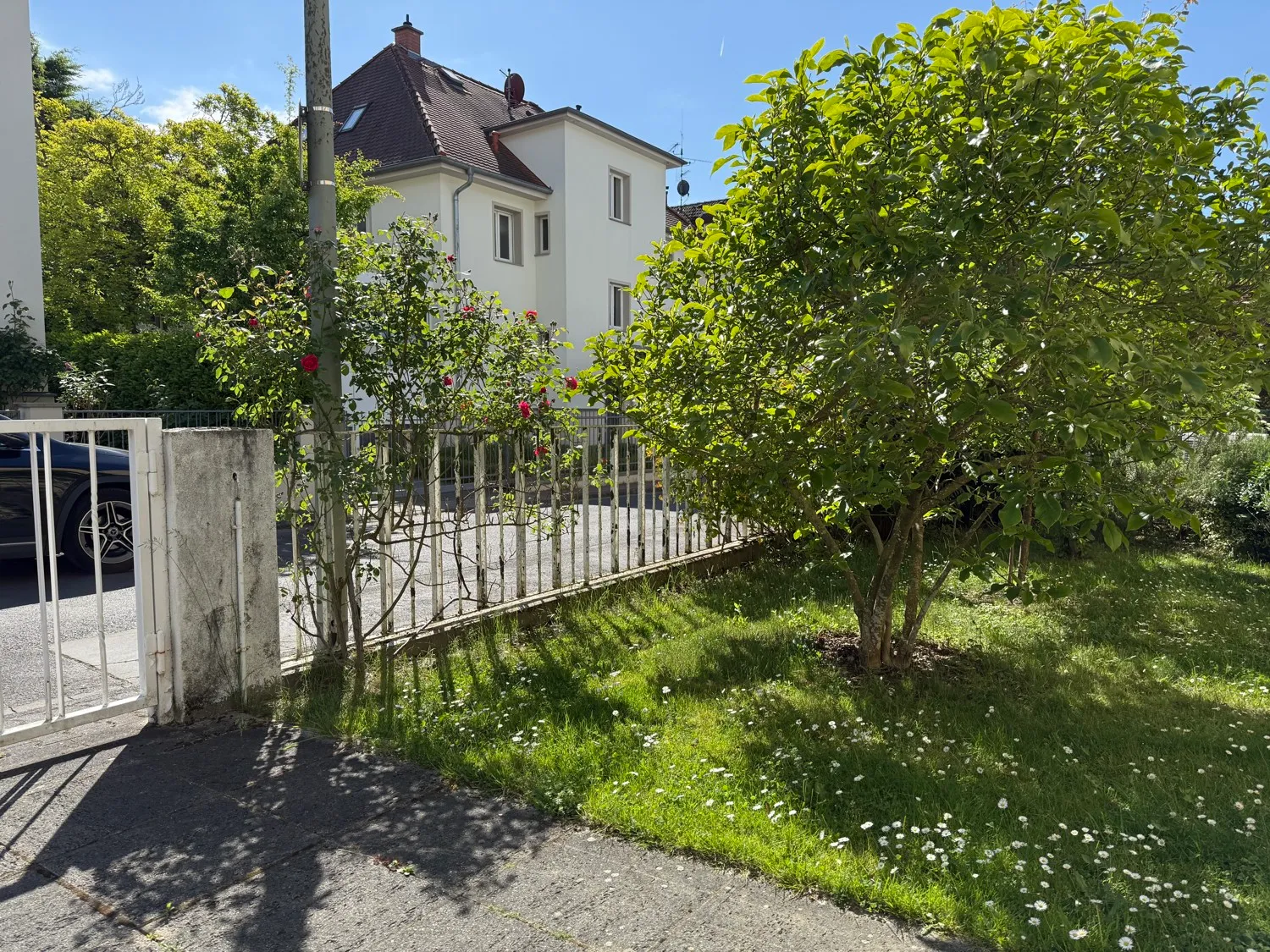 Vorgarten