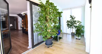 von_poll_real_estate_property_25333023_image_9