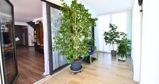 von_poll_real_estate_property_25333023_image_9