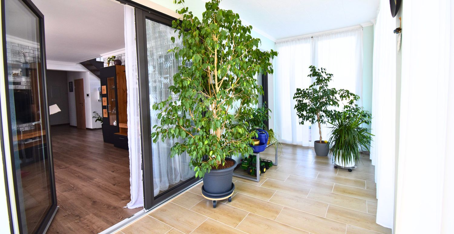 EG: Wintergarten