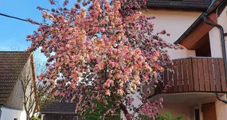 von_poll_real_estate_property_24333019_image_35