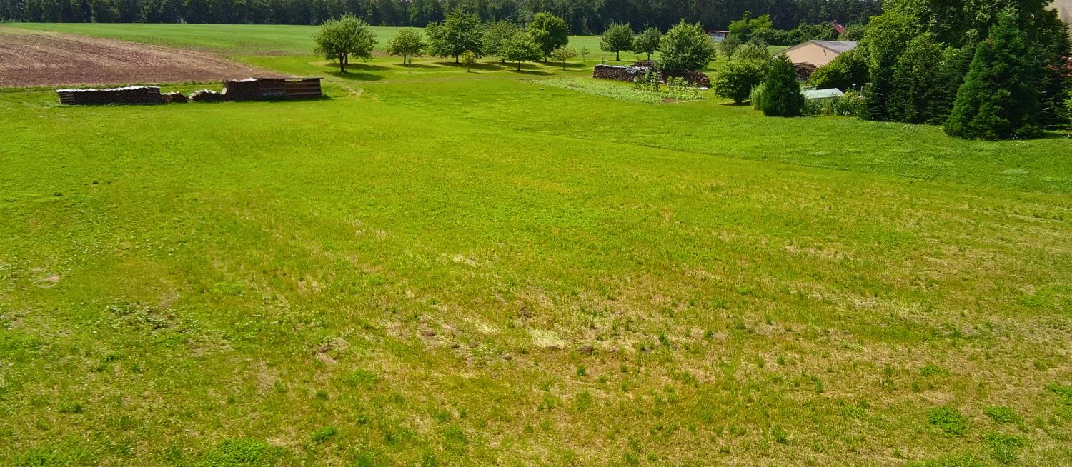 Seitenblick niedrig