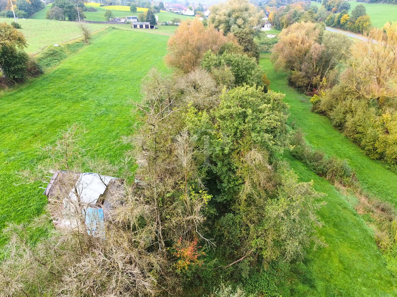 Außenansicht Hinten Garten