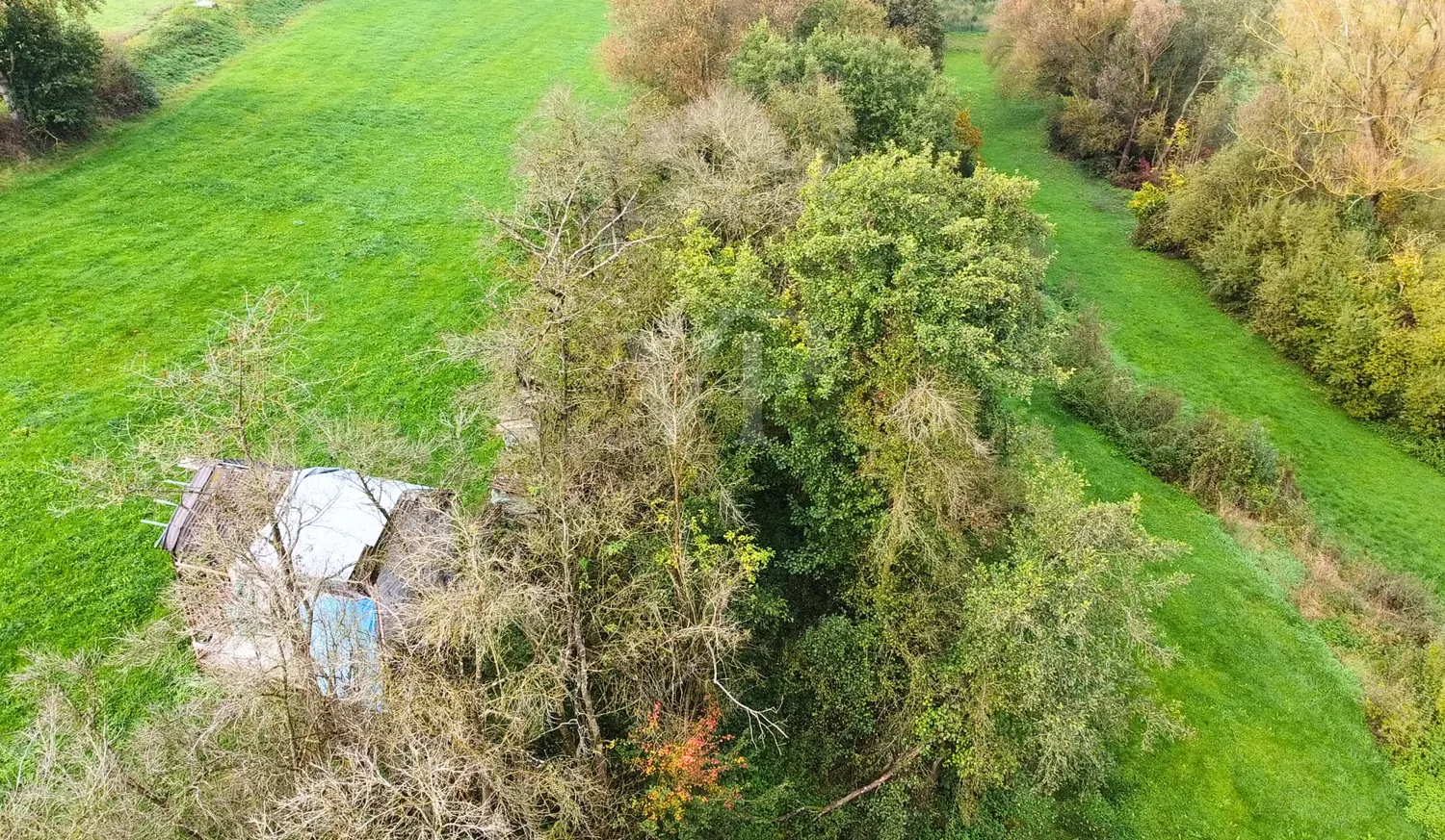 Außenansicht Hinten Garten