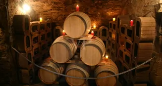 von_poll_real_estate_property_25432007_image_16