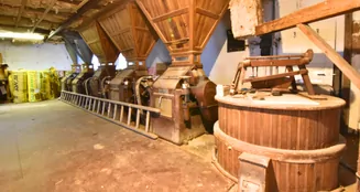 von_poll_real_estate_property_25333506_image_16