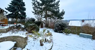 von_poll_real_estate_property_26333001_image_5