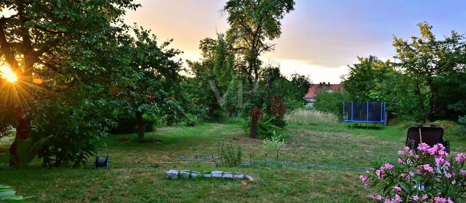 Außenansicht Garten