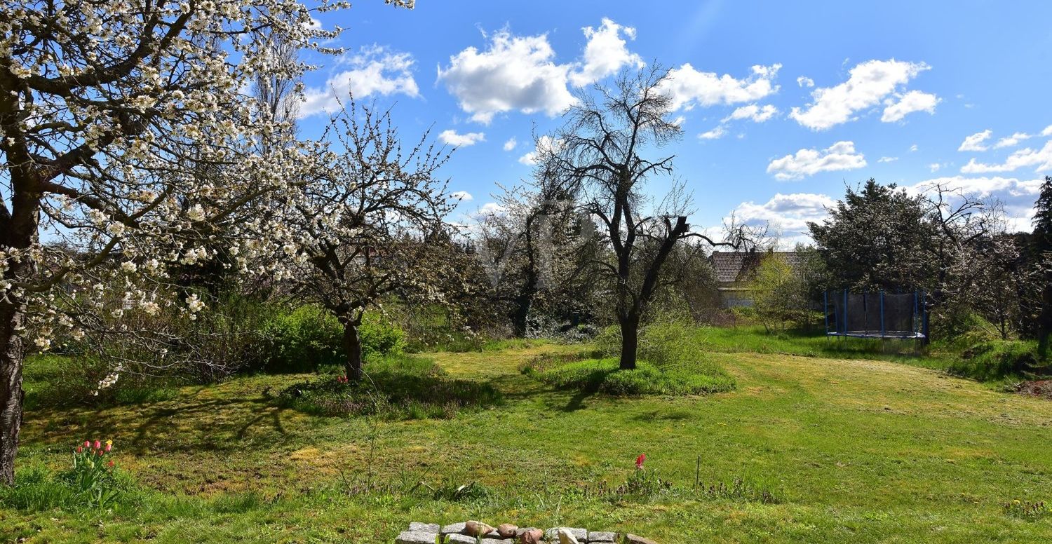 Außenansicht Garten