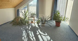 von_poll_real_estate_property_25446001_image_11