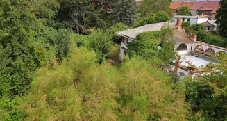 von_poll_real_estate_property_21461005_image_33