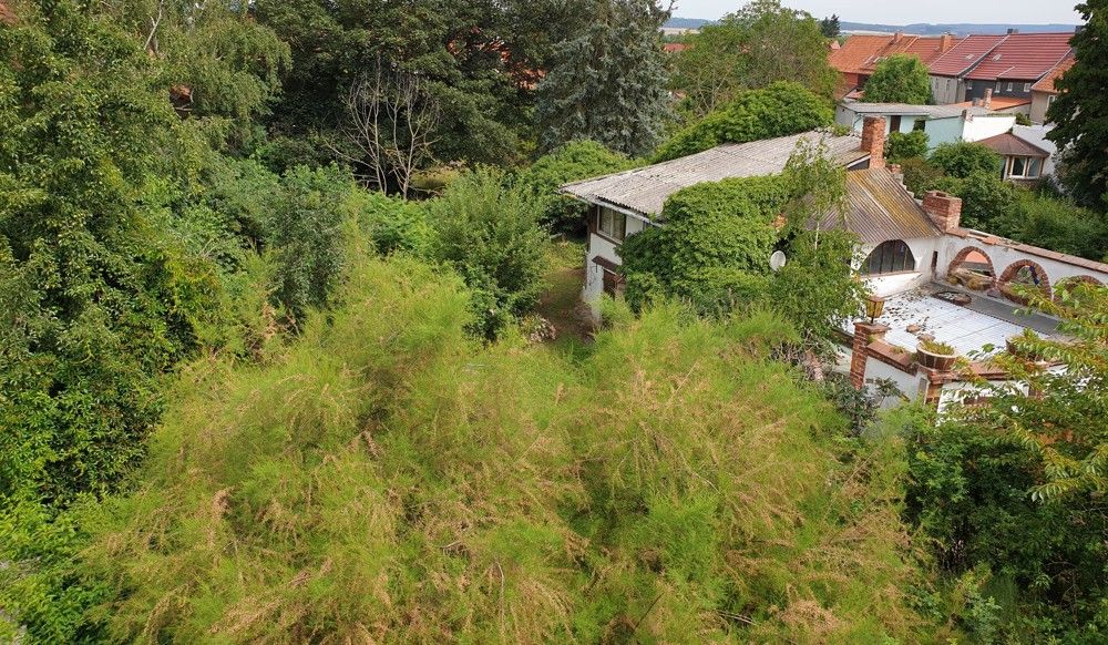 Garten von oben-min