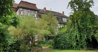 von_poll_real_estate_property_21461005_image_36