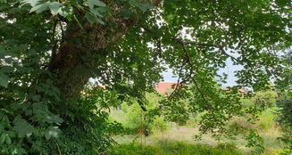 von_poll_real_estate_property_21461005_image_35