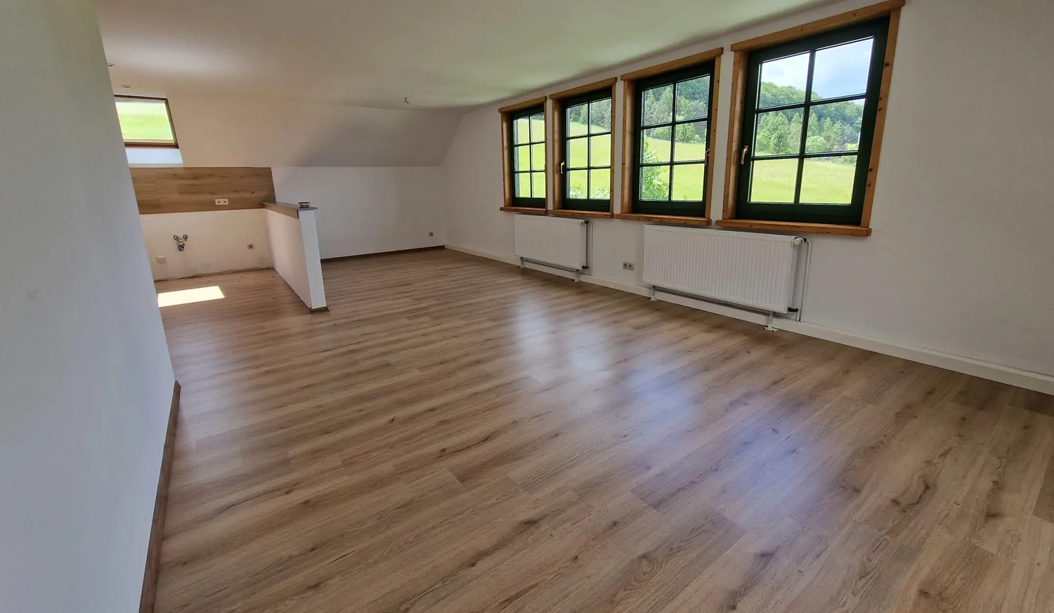 DG offenes Wohnzimmer mit Küche hinten 01